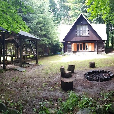 Slovak Cottage Near Bratislava In The Heart Of The Carpathians Modra Ngoại thất bức ảnh