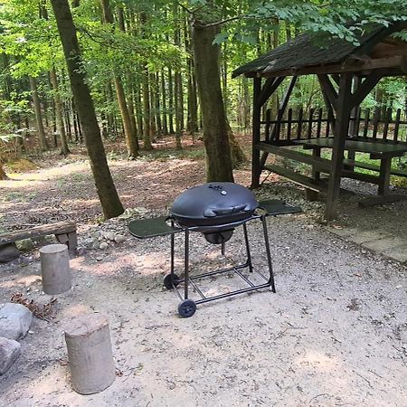 Slovak Cottage Near Bratislava In The Heart Of The Carpathians Modra Ngoại thất bức ảnh