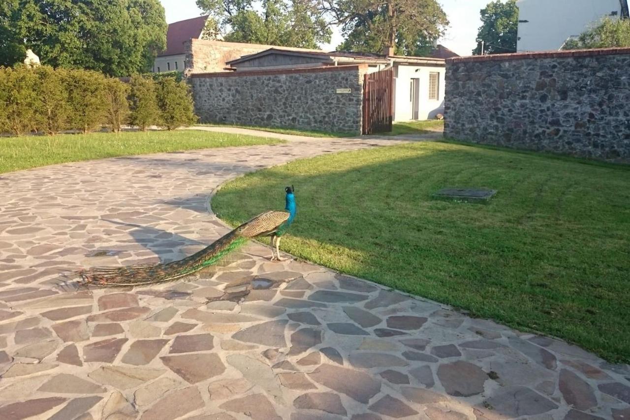 Slovak Cottage Near Bratislava In The Heart Of The Carpathians Modra Ngoại thất bức ảnh