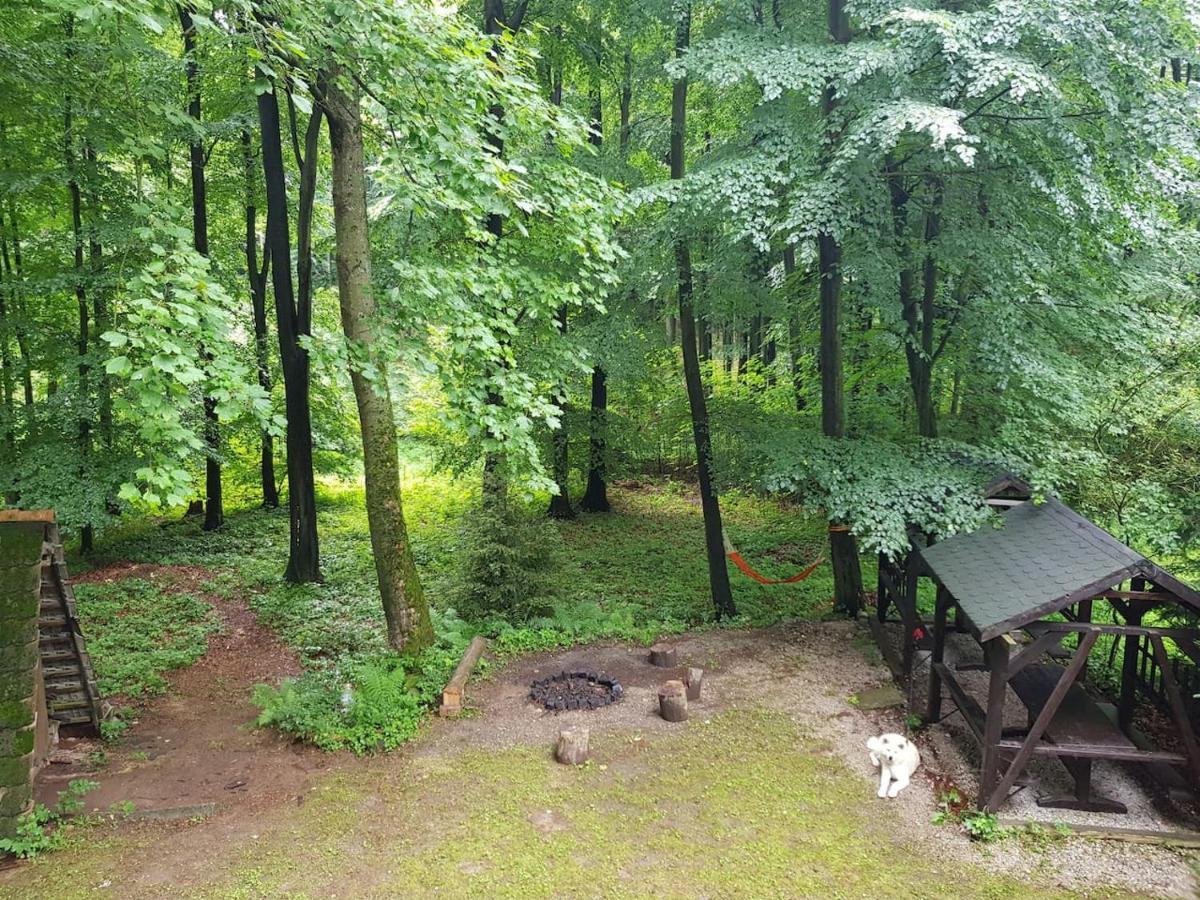 Slovak Cottage Near Bratislava In The Heart Of The Carpathians Modra Ngoại thất bức ảnh