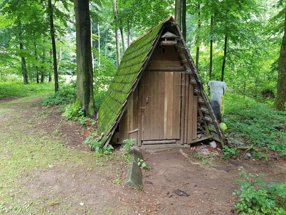 Slovak Cottage Near Bratislava In The Heart Of The Carpathians Modra Ngoại thất bức ảnh