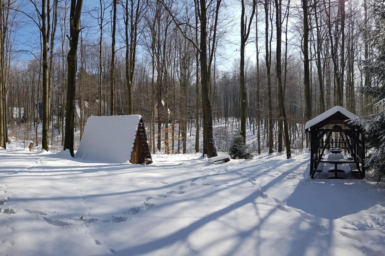Slovak Cottage Near Bratislava In The Heart Of The Carpathians Modra Ngoại thất bức ảnh