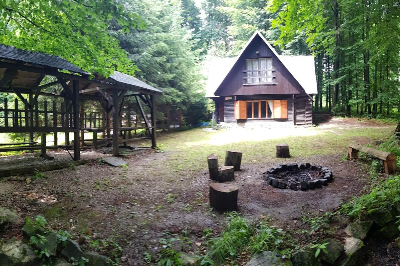 Slovak Cottage Near Bratislava In The Heart Of The Carpathians Modra Ngoại thất bức ảnh