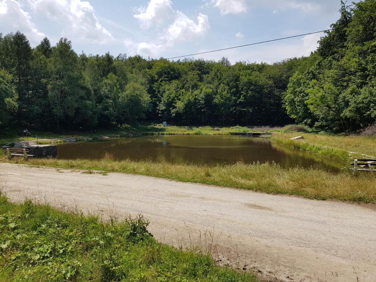 Slovak Cottage Near Bratislava In The Heart Of The Carpathians Modra Ngoại thất bức ảnh