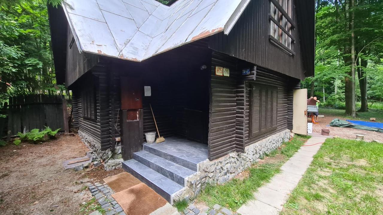 Slovak Cottage Near Bratislava In The Heart Of The Carpathians Modra Ngoại thất bức ảnh